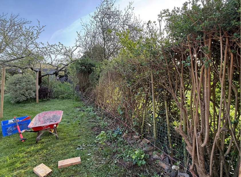 before-image